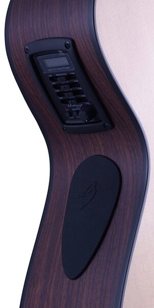 open zoom image for Breedlove Atlas Solo C350/SRe Acoustic-Electric Guitar, 12-String with Case, Controls