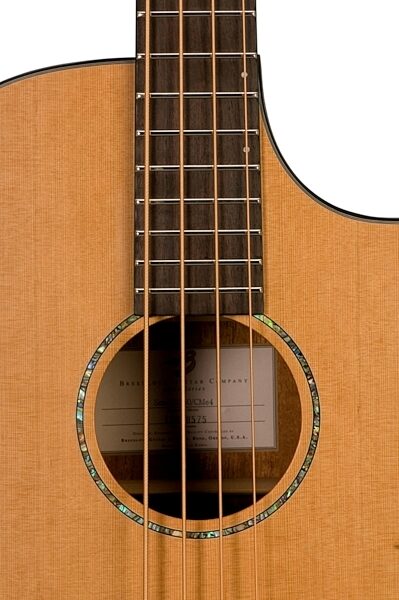 open zoom image for Breedlove Solo BJ350/CME4 Acoustic Bass Guitar with Case, Fretted Version - Neck