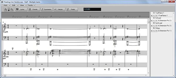 open zoom image for Cakewalk Sonar X2 Essential Music Production Software (Windows), Screenshot Staff View