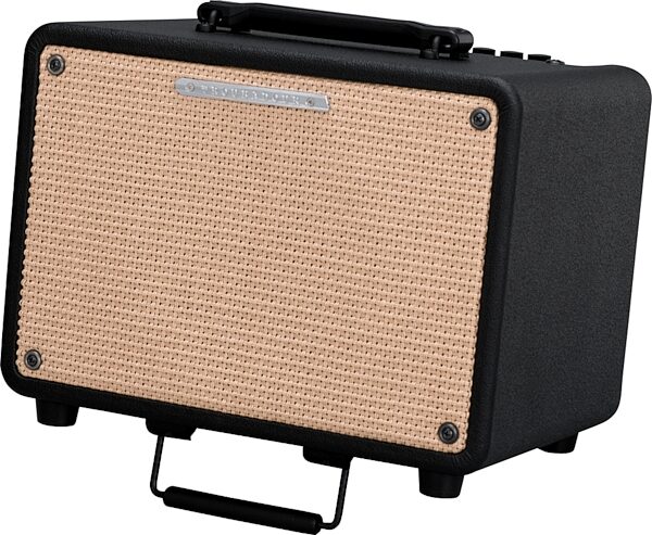 open zoom image for Ibanez T30 Troubadour Acoustic Guitar Amplifier, 30 Watts, Main