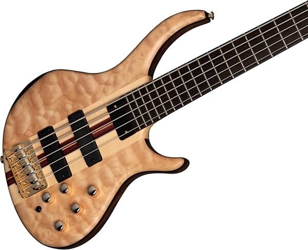 open zoom image for Tobias Classic V Electric Bass, 5-String (with Gig Bag), Action Position Back