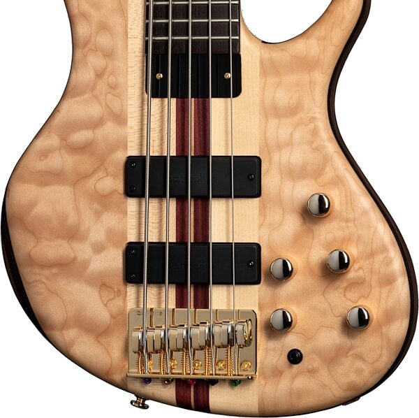 open zoom image for Tobias Classic V Electric Bass, 5-String (with Gig Bag), Action Position Back