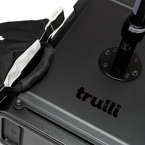 open zoom image for Trulli Audio M20 Threaded Pole Plate for Bass50 Subwoofer, New, Action Position Back
