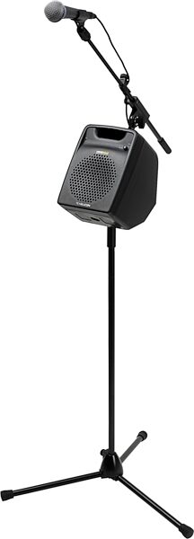 open zoom image for TC Helicon VSM200P VoiceSolo Passive Monitor, On Mic Stand