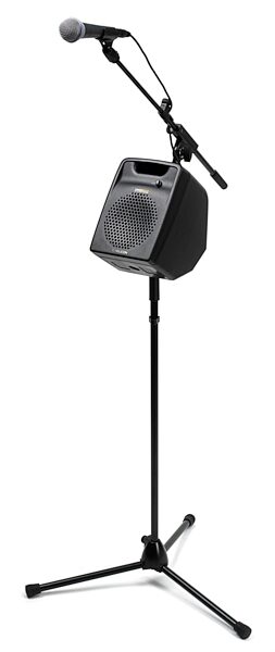 open zoom image for TC Helicon VoiceSolo VSM200P XT Passive Monitor, On mic stand