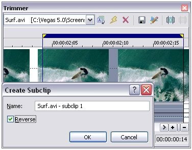 open zoom image for Sony Vegas Digital Video and Audio Software (Windows), Media Subclips