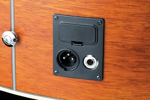 open zoom image for Ibanez EW50MPSE Exotic Wood Acoustic-Electric Guitar, Output