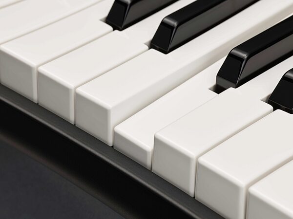 open zoom image for Yamaha YC61 Stage Keyboard, 61-Key, Black, Keys Detail