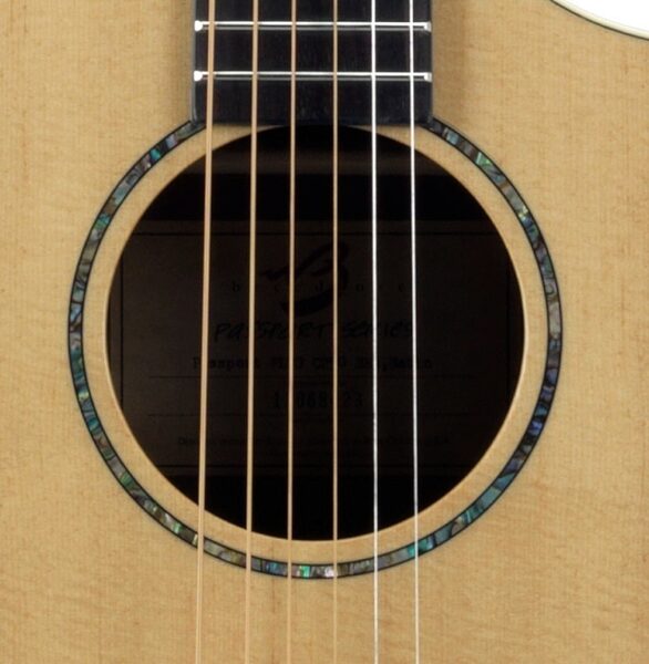 open zoom image for Breedlove Passport Plus C250/Sre Acoustic-Electric Guitar (with Gig Bag), Soundhole