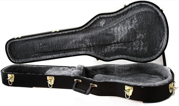open zoom image for Gretsch G6238FT Standard Solid Body Guitar Case, New, Open