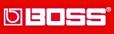 open zoom image for Boss BAG-S2 Small Bag for ME50 and BR900CD, Main