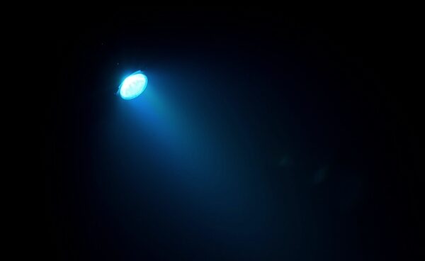 open zoom image for Chauvet Intimidator Wash LED 150 Light, FX12