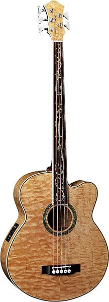 open zoom image for Michael Kelly Dragonfly 5 5-String Fretless Acoustic-Electric Bass, Main