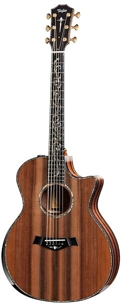 open zoom image for Taylor PS14ce 2012 Fall Limited Edition Acoustic-Electric Guitar, Main