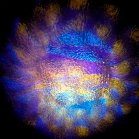 open zoom image for Chauvet Q-Dream Effects Projector Light, Effect 5
