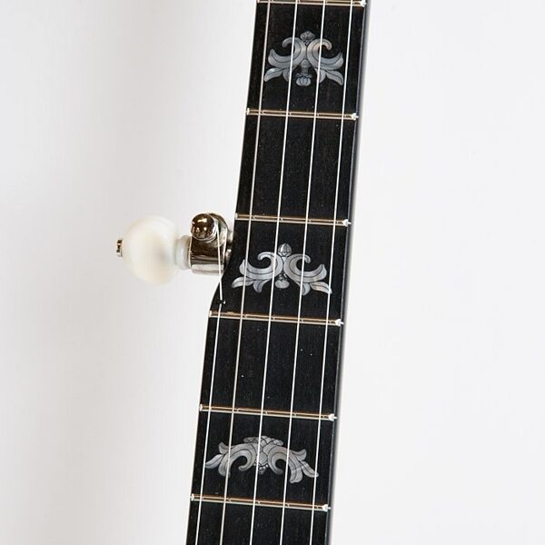 open zoom image for Deering Eagle II Banjo with Case, Fretboard