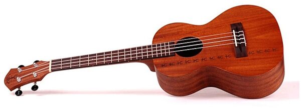 open zoom image for aNueNue Papa II Concert Ukulele (with Gig Bag), Side 1
