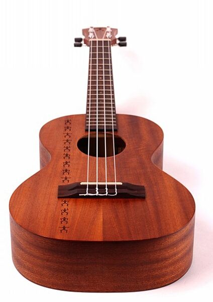 open zoom image for aNueNue Papa II Concert Ukulele (with Gig Bag), Closeup 1