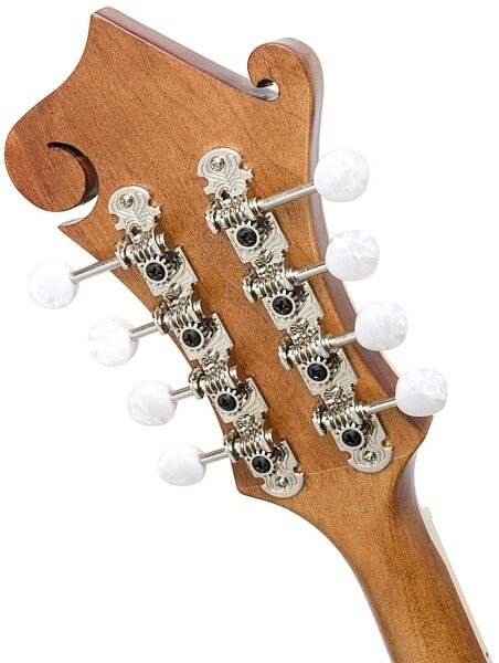 open zoom image for Epiphone MM-50E F-Style Acoustic-Electric Mandolin, Closeup Headstock (Back)