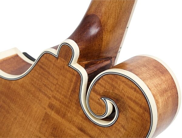 open zoom image for Epiphone MM-50E F-Style Acoustic-Electric Mandolin, Closeup Neck Joint