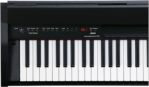 open zoom image for Roland F110 Compact Digital Piano, Closeup