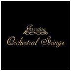 open zoom image for Garritan Orchestral Strings Lite Sound Library for GigaStudio, Main