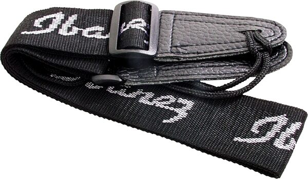 open zoom image for Ibanez IJP2S JamPack Acoustic Guitar Pack, Strap