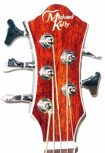 open zoom image for Michael Kelly STAB5 5-String Acoustic-Electric Bass, Headstock