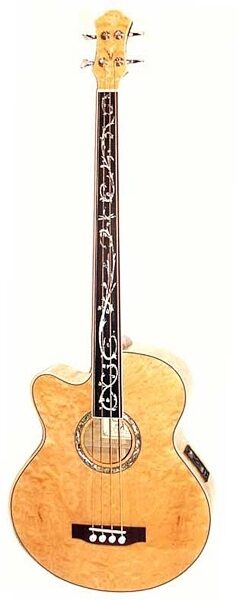 open zoom image for Michael Kelly Dragonfly 4 Left-Handed Fretless Acoustic-Electric Bass, Main