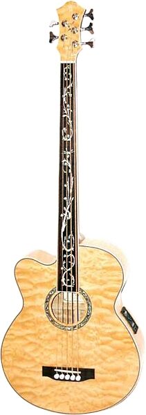 open zoom image for Michael Kelly Dragonfly 5 Left-Handed 5-String Fretless Acoustic-Electric Bass, Main