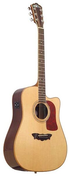 open zoom image for Washburn D56SWCE Timbercraft Acoustic-Electric Guitar (with Case), Main