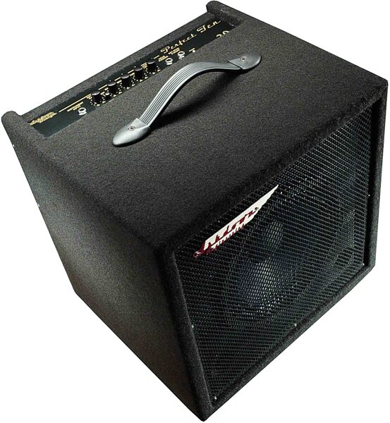 open zoom image for Ashdown Perfect Ten Bass Combo Amplifier (30 Watts, 1x10 in.), Main