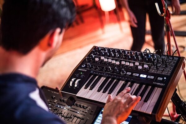 open zoom image for Arturia MiniBrute 2 Analog Keyboard Synthesizer, ve