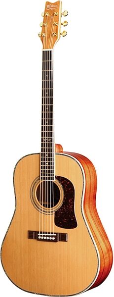 open zoom image for Washburn SJ45S Southern Jumbo Acoustic Guitar, Main