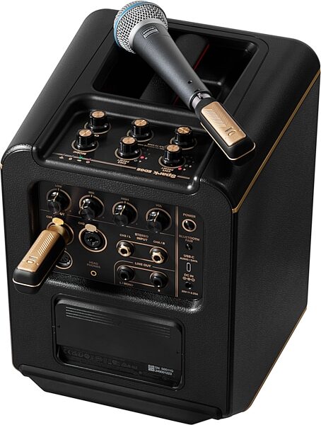 open zoom image for Positive Grid Spark LINK XLR Wireless Audio System, New, Action Position Back