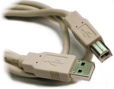 open zoom image for Hosa USB-A to USB-B Standard USB Cable, Main