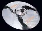 open zoom image for Zildjian ZXT Titanium Rock Cymbal Package, Rock Crash