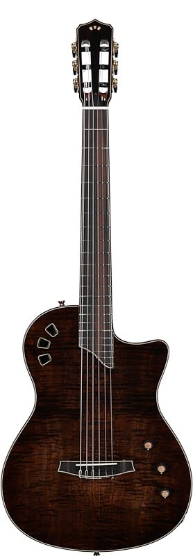 open zoom image for Cordoba Stage Artist Classical Acoustic-Electric Guitar (with Case), Habano Burst, Open Box (Very Good), Full Straight Front