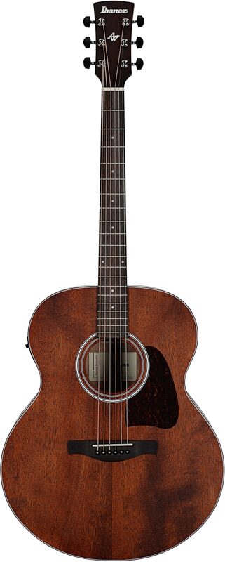 open zoom image for Ibanez AJ54E Artwood Acoustic-Electric Guitar, Open Pore Natural, Full Straight Front