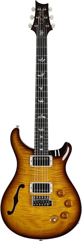 open zoom image for PRS Paul Reed Smith DGT Semi-Hollowbody Birds Electric Guitar (with Case), Tobacco Sunburst, Full Straight Front
