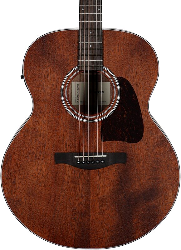 open zoom image for Ibanez AJ54E Artwood Acoustic-Electric Guitar, Open Pore Natural, Body Straight Front