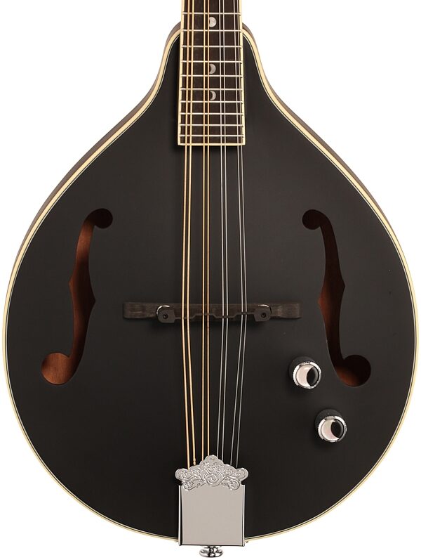 open zoom image for Luna Moonbird A-Style Acoustic-Electric Mandolin, New, Body Straight Front