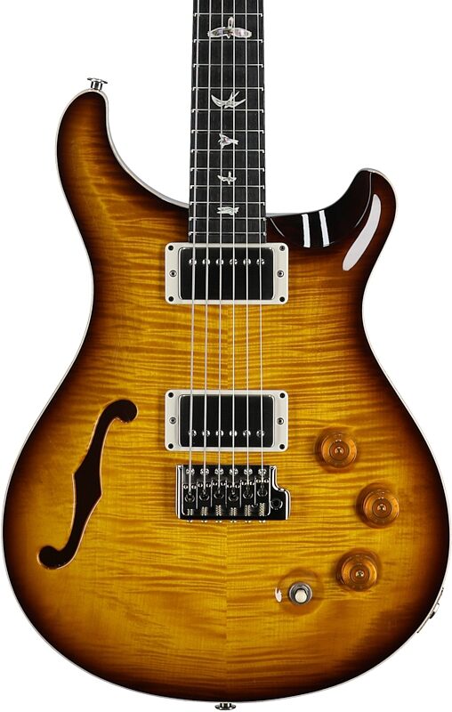 open zoom image for PRS Paul Reed Smith DGT Semi-Hollowbody Birds Electric Guitar (with Case), Tobacco Sunburst, Body Straight Front