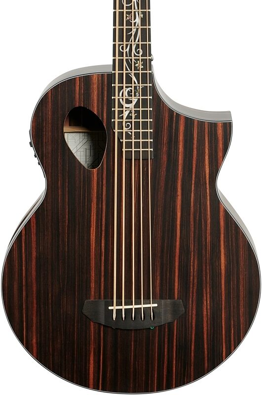 open zoom image for Michael Kelly Dragonfly 5 Acoustic-Electric Bass Guitar, 5-String, Ovangkol Fingerboard, Java, Body Straight Front