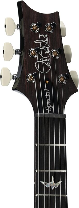 open zoom image for PRS Paul Reed Smith Special Semi-Hollow LTD 10-Top Electric Guitar (with Case), Gray Black, Serial Number 0378294, Headstock Left Front