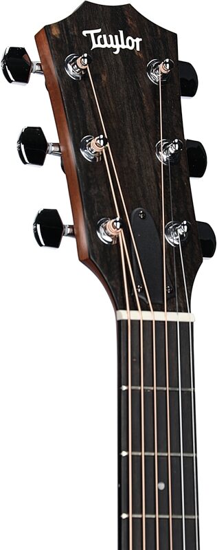 open zoom image for Taylor 210ce Dreadnought Acoustic-Electric Guitar (with Gig Bag), New, Headstock Left Front