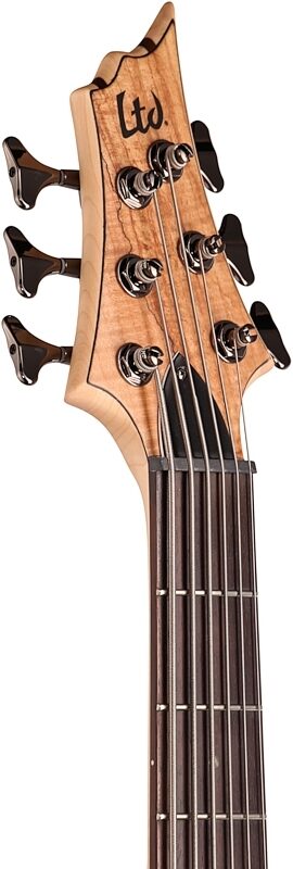 open zoom image for ESP LTD B206SM Electric Bass, 6-String, Natural Satin, Headstock Left Front