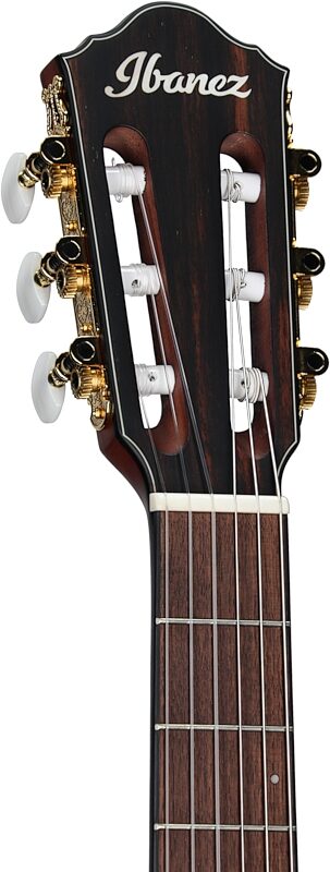 open zoom image for Ibanez FRH10NL Acoustic-Electric Classical Guitar, Left-Handed, Brown Sunburst Flat, Headstock Left Front