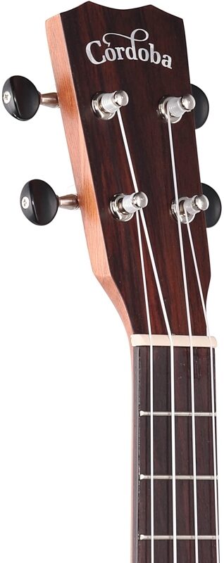 open zoom image for Cordoba 25T-CE Tenor Acoustic-Electric Ukulele, Open Box (Very Good), Headstock Left Front
