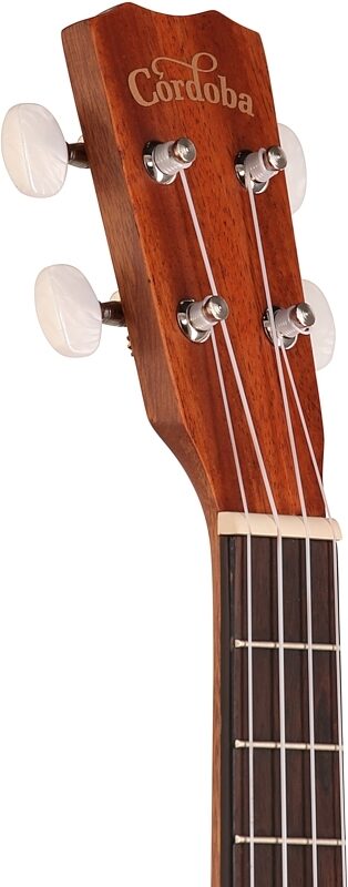 open zoom image for Cordoba 20TMCE Tenor Acoustic Electric Ukulele, New, Headstock Left Front
